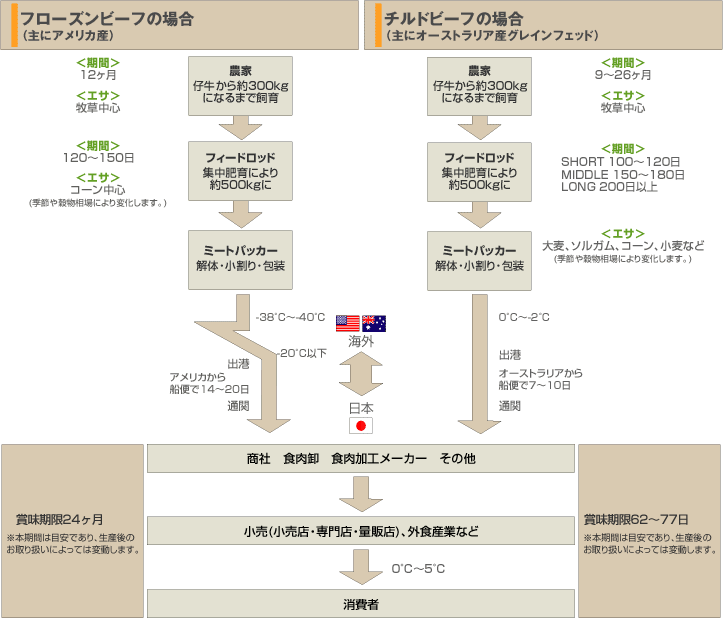 輸入牛肉の流通経路